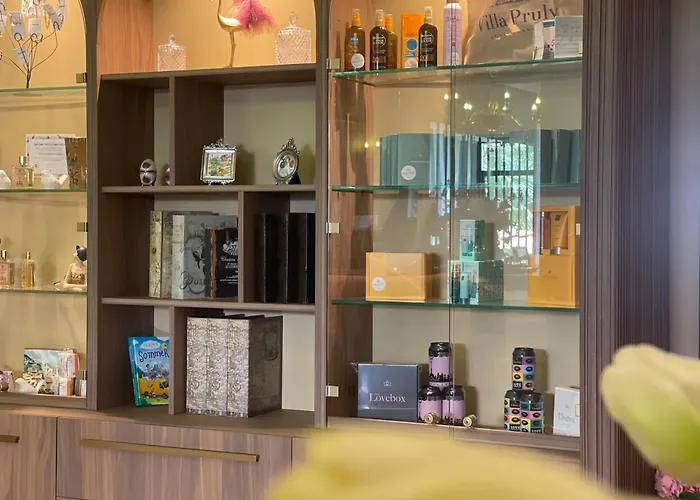 Villa Pruly Hotel Cannes Centre